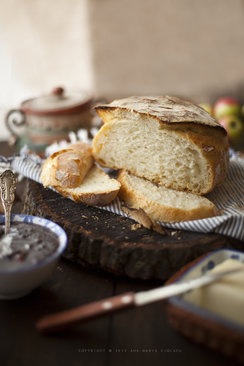 No-knead bread / Il pane senza impasto