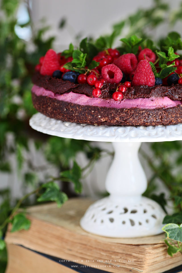 Raw Vegan Raspberry Chocolate Brownie Cake Just Love Cookin