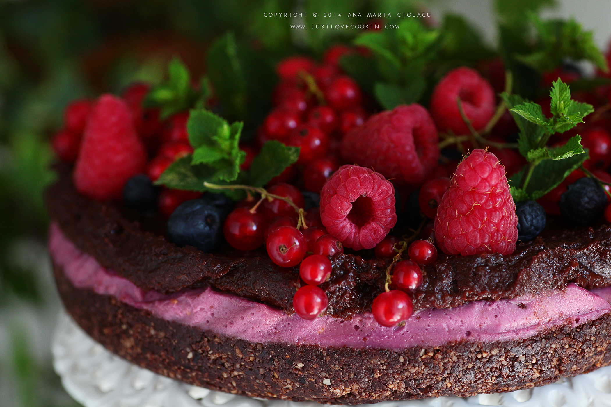 Raw Vegan Chocolate and Raspberry Brownie Cake 22