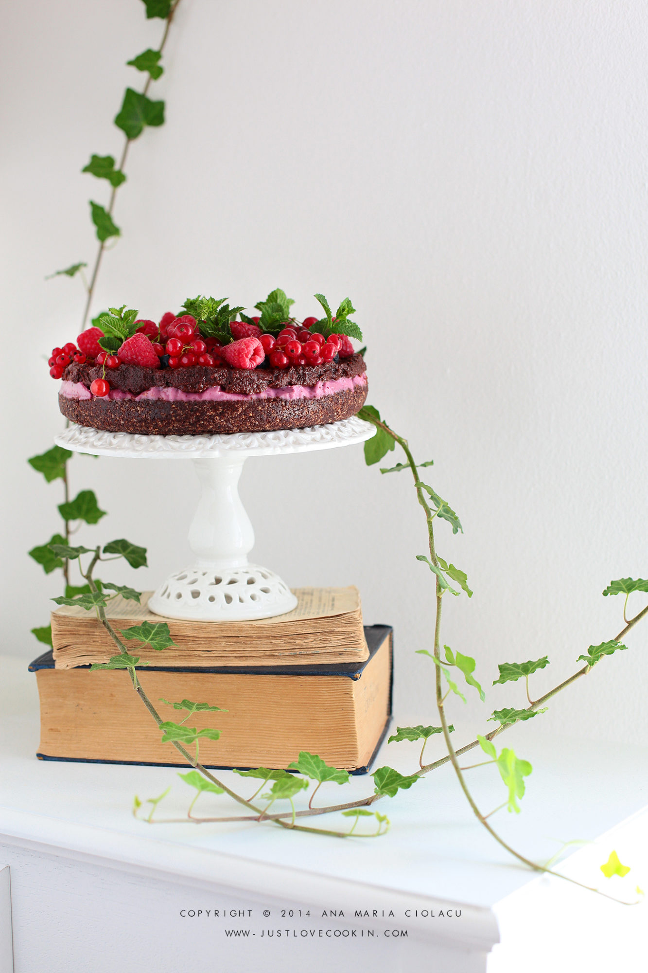 Raw Vegan Raspberry Chocolate Brownie Cake Just Love Cookin